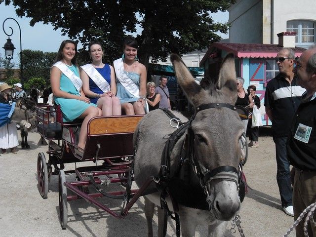 fete ane 2014 (14).jpg